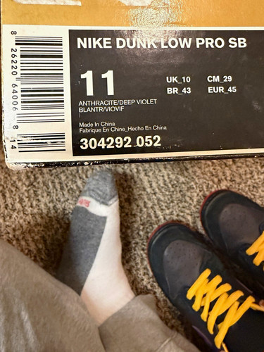 Nike dunk low pro - low, sb